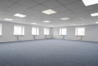 Elizabeth Northskylight-replacements-2.jpg; ?>
